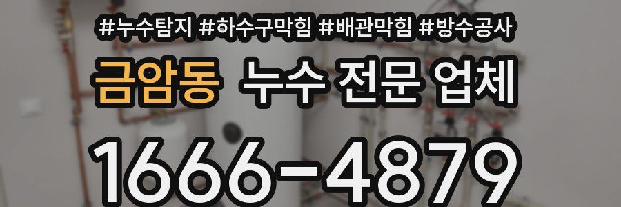 금암동 누수 전문 업체