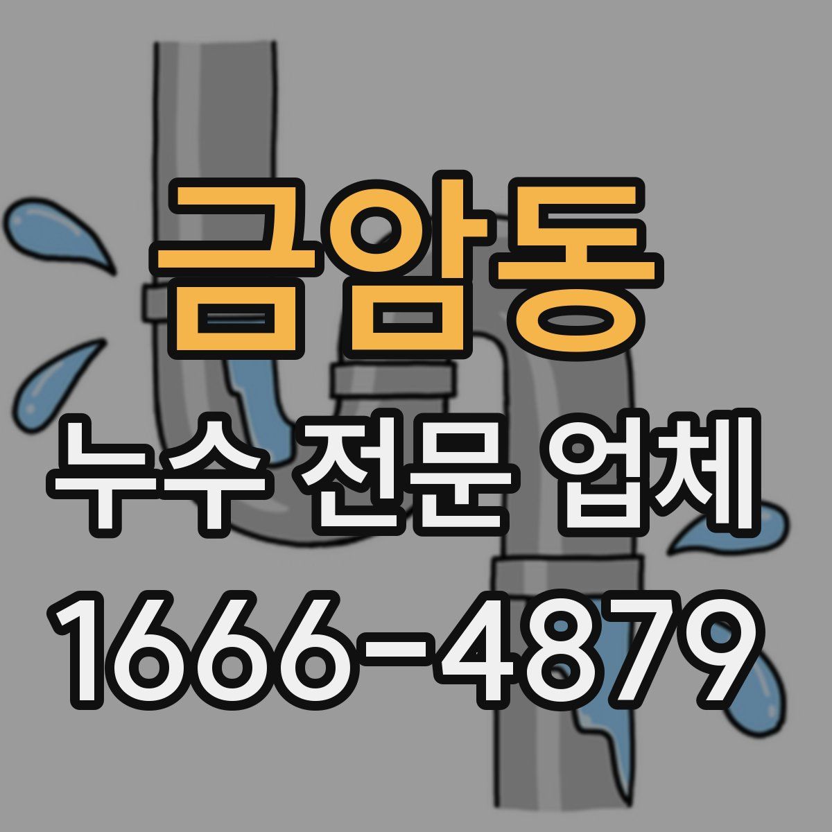 금암동 누수 전문 업체