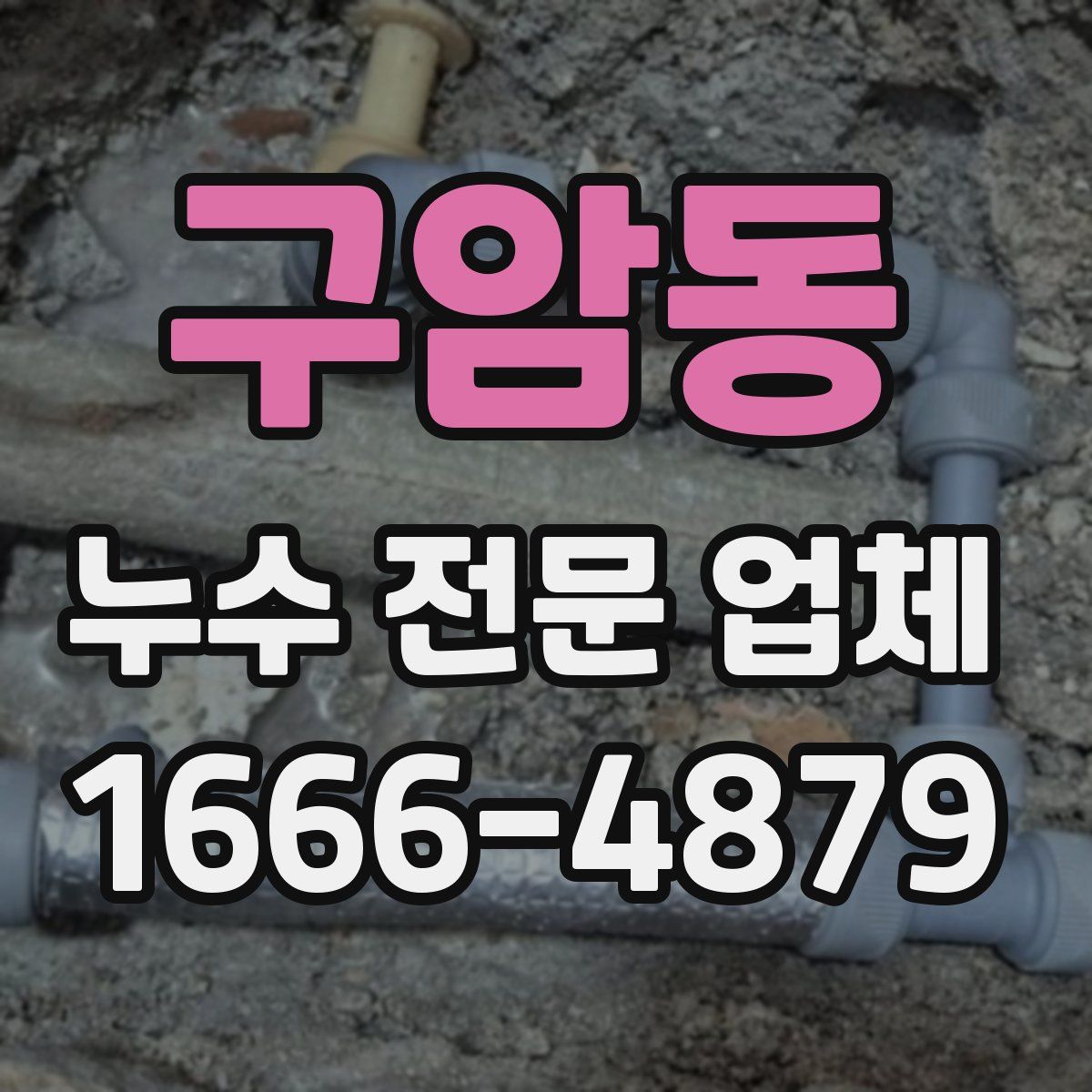 구암동 누수 전문 업체