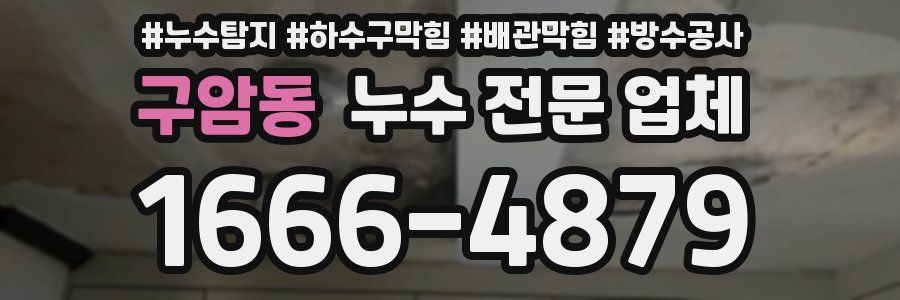 구암동 누수 전문 업체