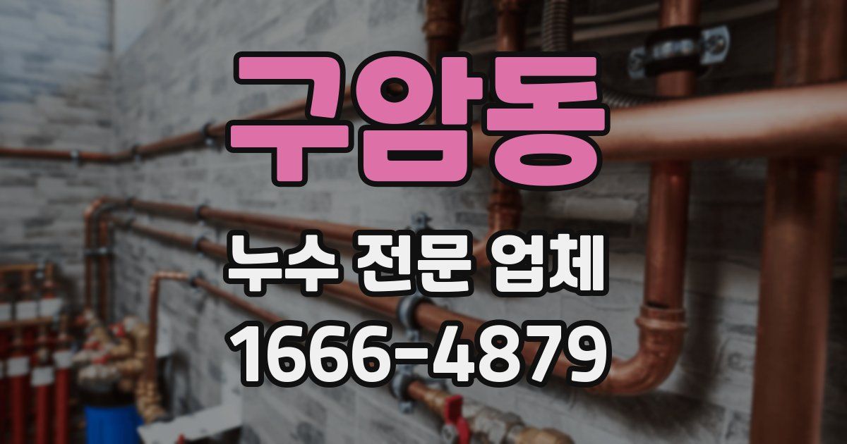 구암동 누수 전문 업체