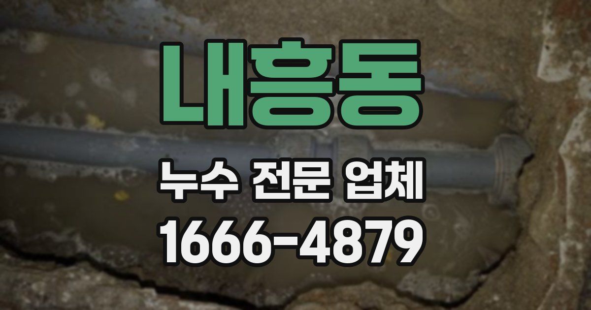 내흥동 누수 전문 업체