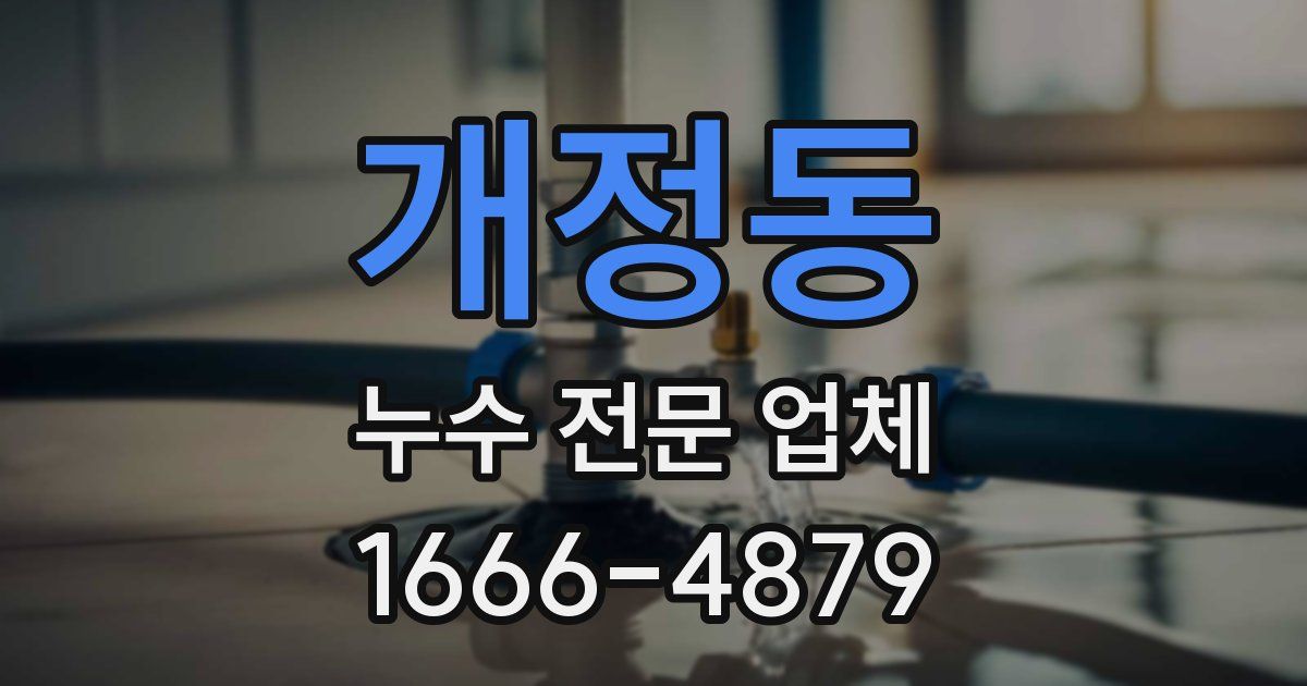 개정동 누수 전문 업체