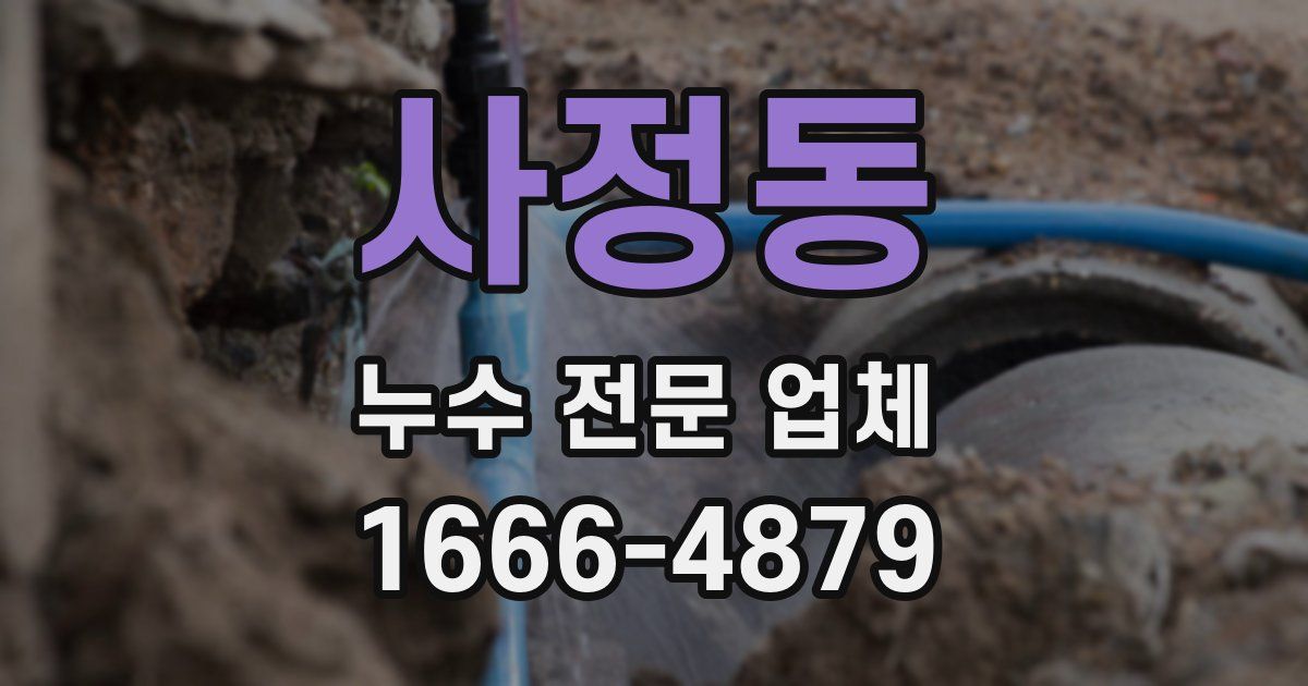 사정동 누수 전문 업체