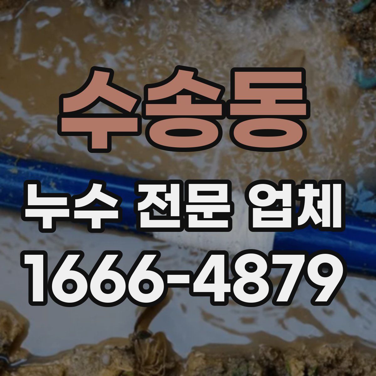 수송동 누수 전문 업체