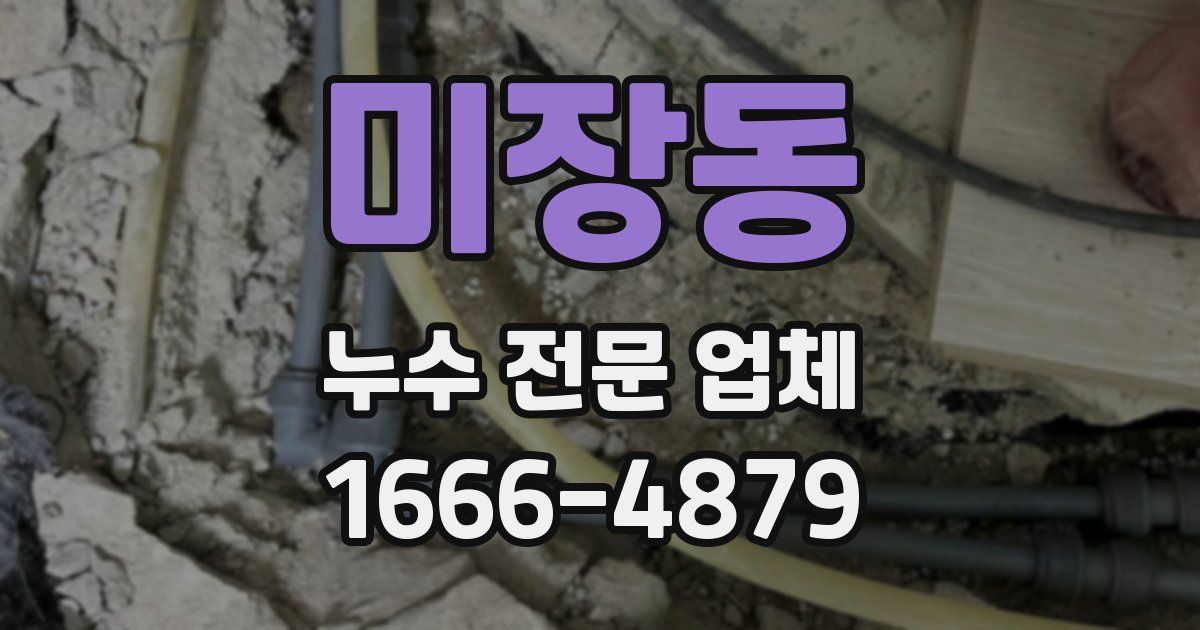 미장동 누수 전문 업체
