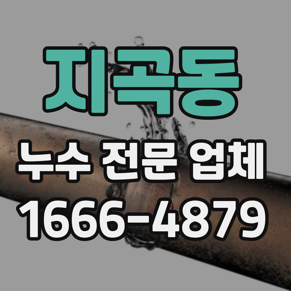 지곡동 누수 전문 업체