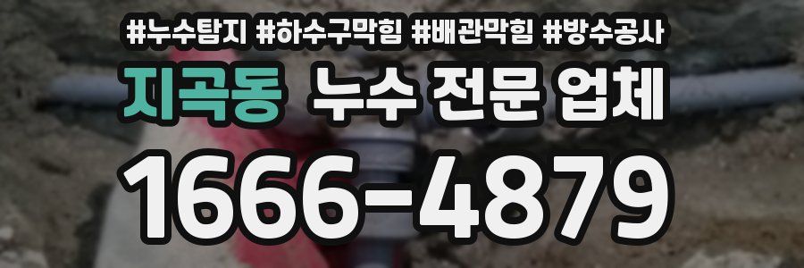 지곡동 누수 전문 업체