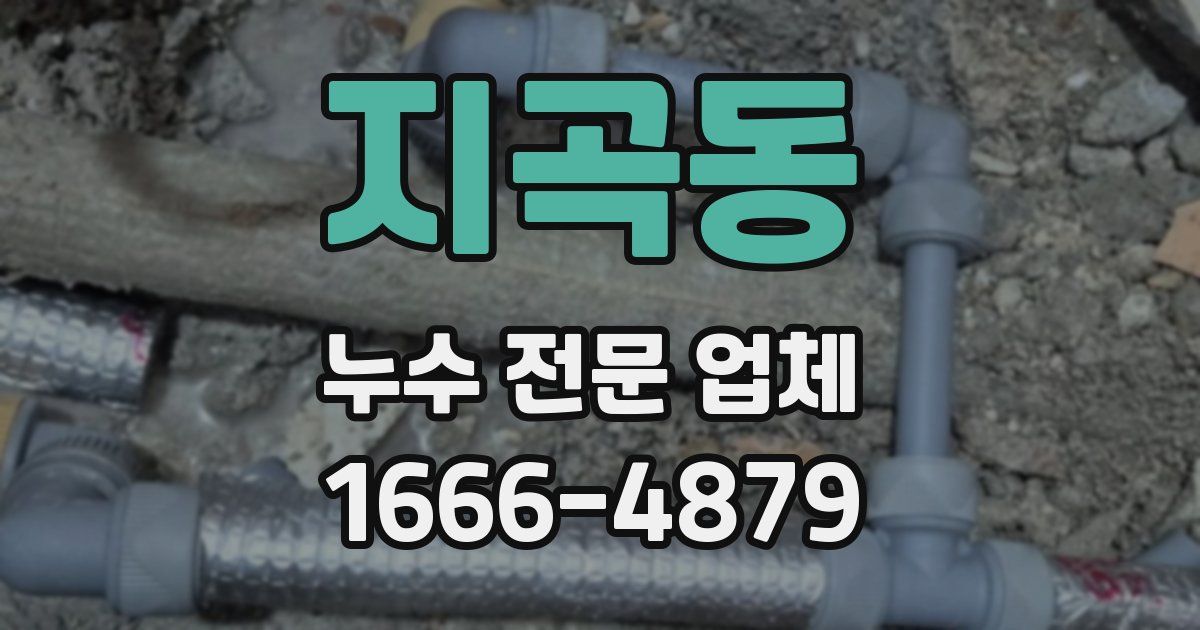 지곡동 누수 전문 업체