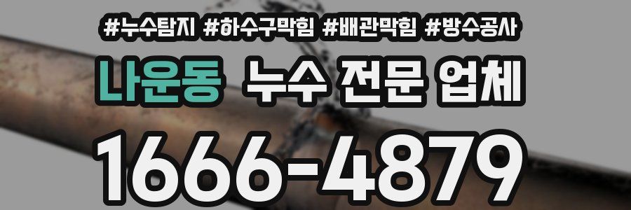 나운동 누수 전문 업체