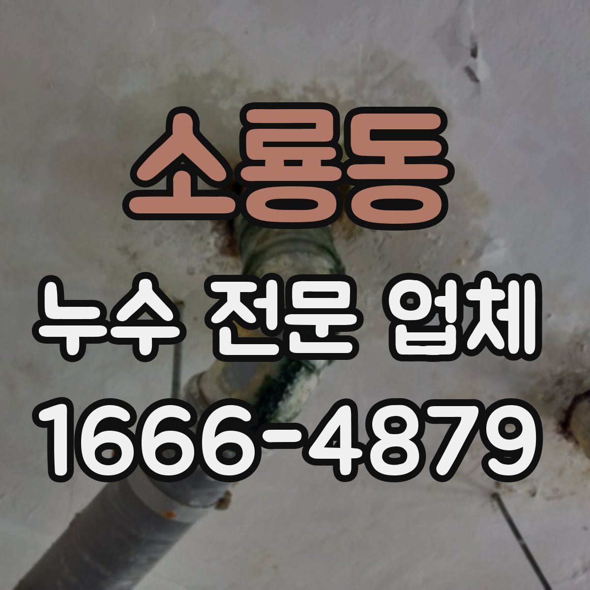 소룡동 누수 전문 업체