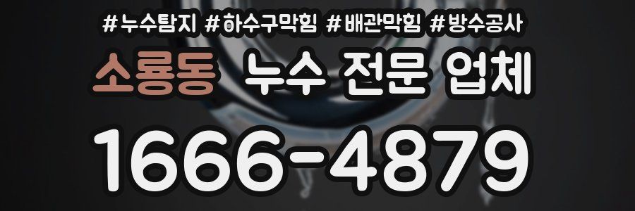 소룡동 누수 전문 업체