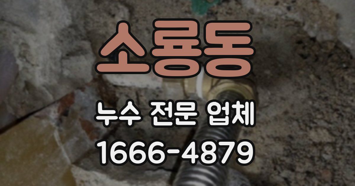소룡동 누수 전문 업체