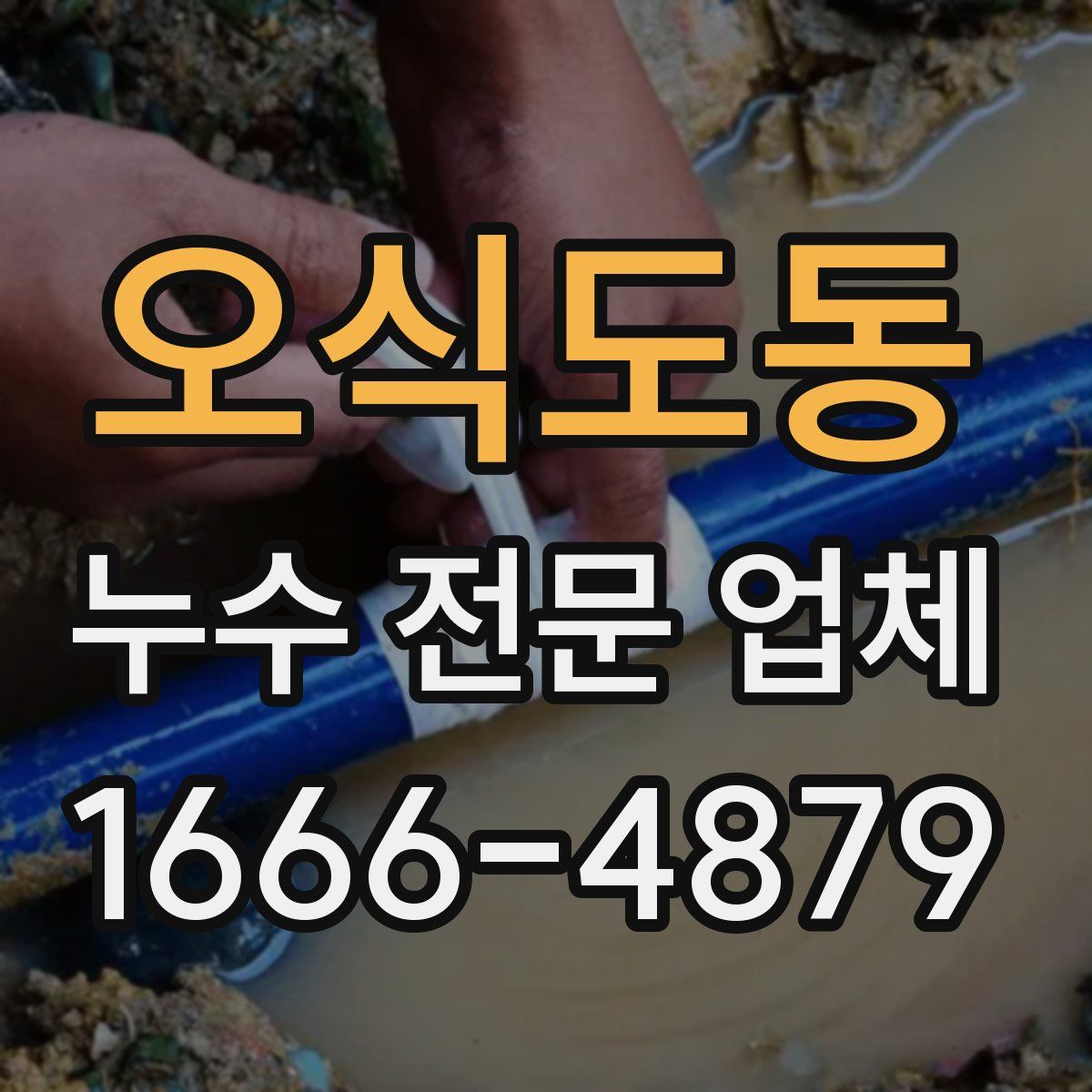 오식도동 누수 전문 업체