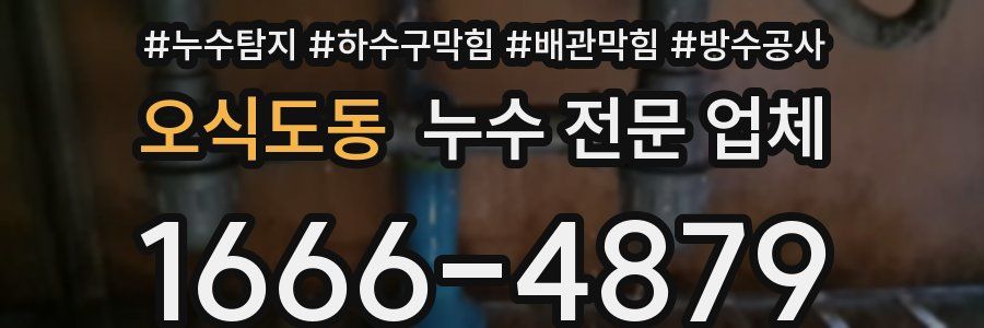 오식도동 누수 전문 업체