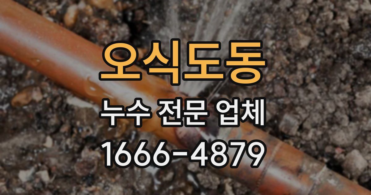 오식도동 누수 전문 업체