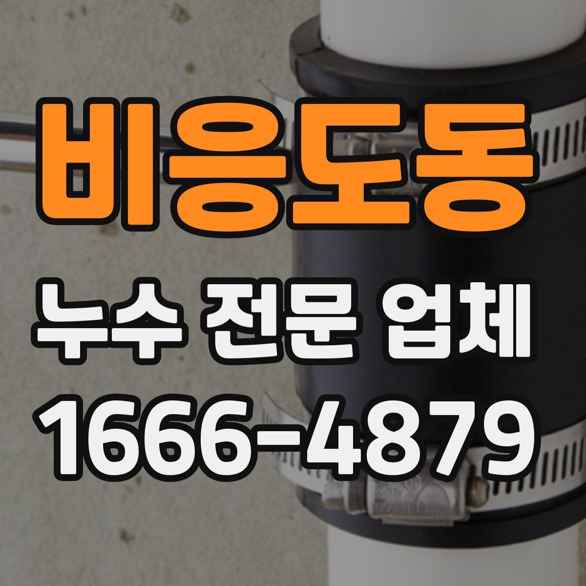 비응도동 누수 전문 업체