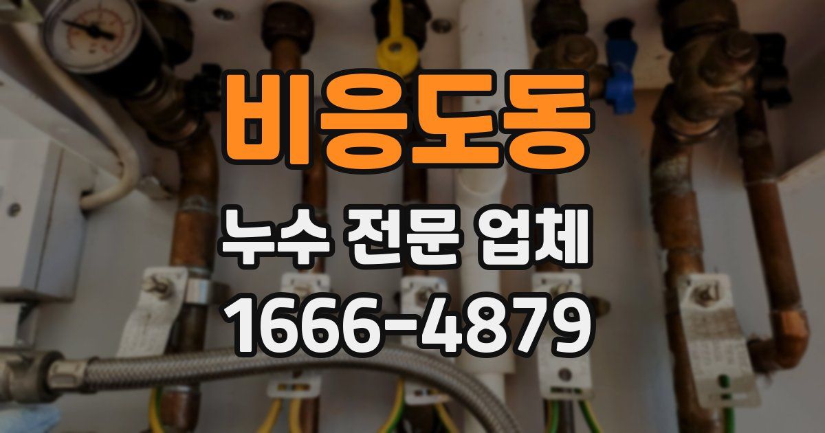 비응도동 누수 전문 업체