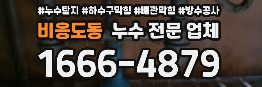 비응도동 누수 전문 업체