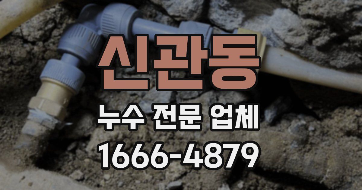 신관동 누수 전문 업체