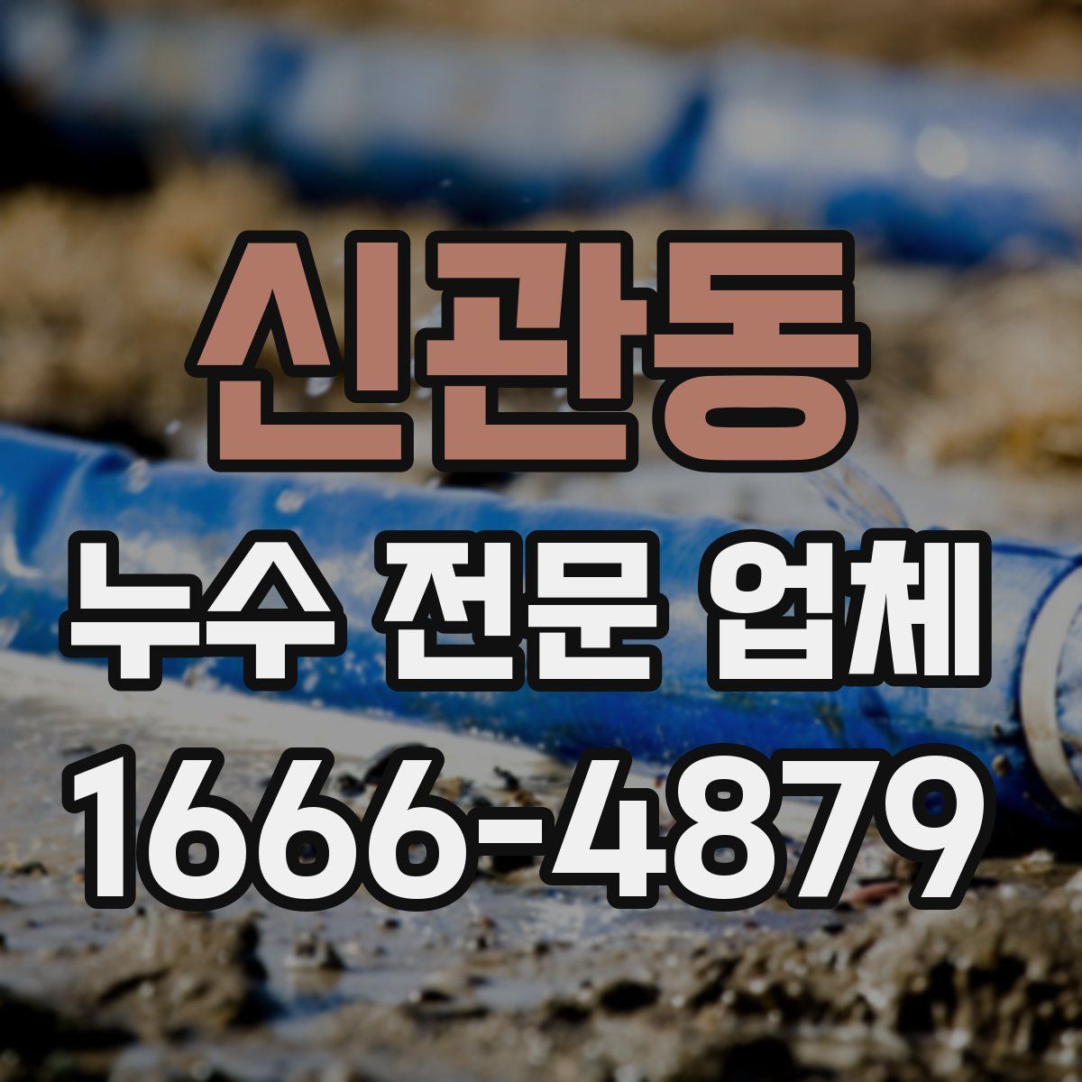 신관동 누수 전문 업체