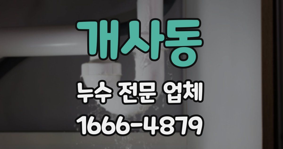 개사동 누수 전문 업체