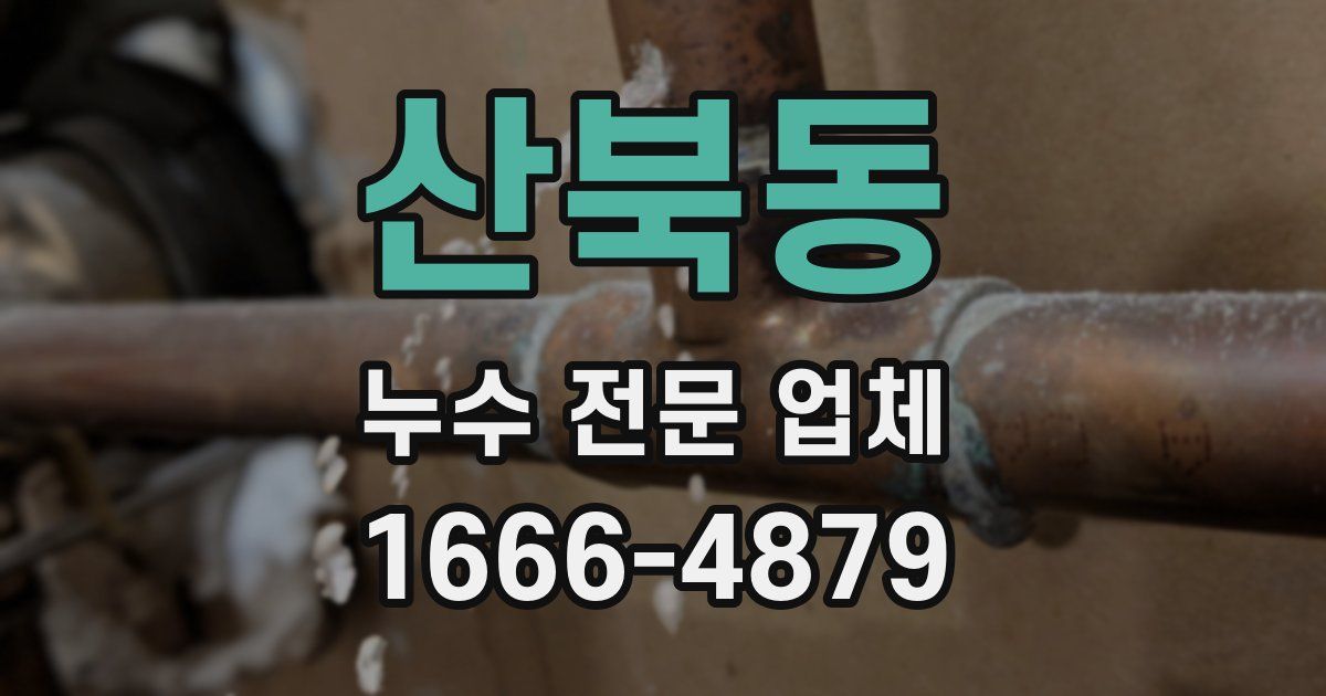 산북동 누수 전문 업체