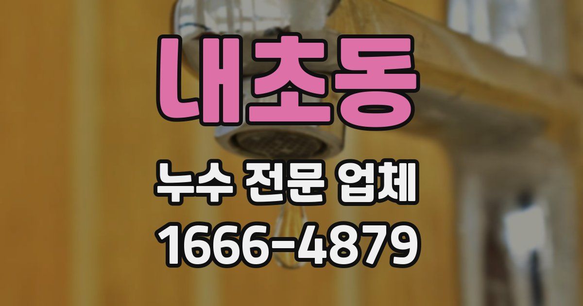 내초동 누수 전문 업체