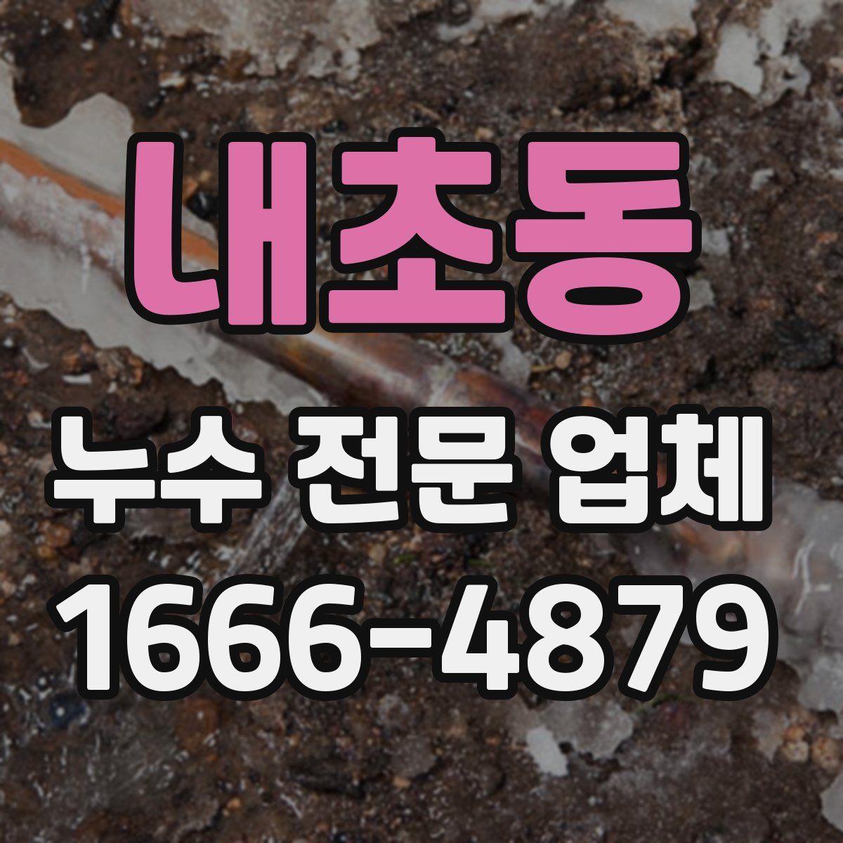 내초동 누수 전문 업체