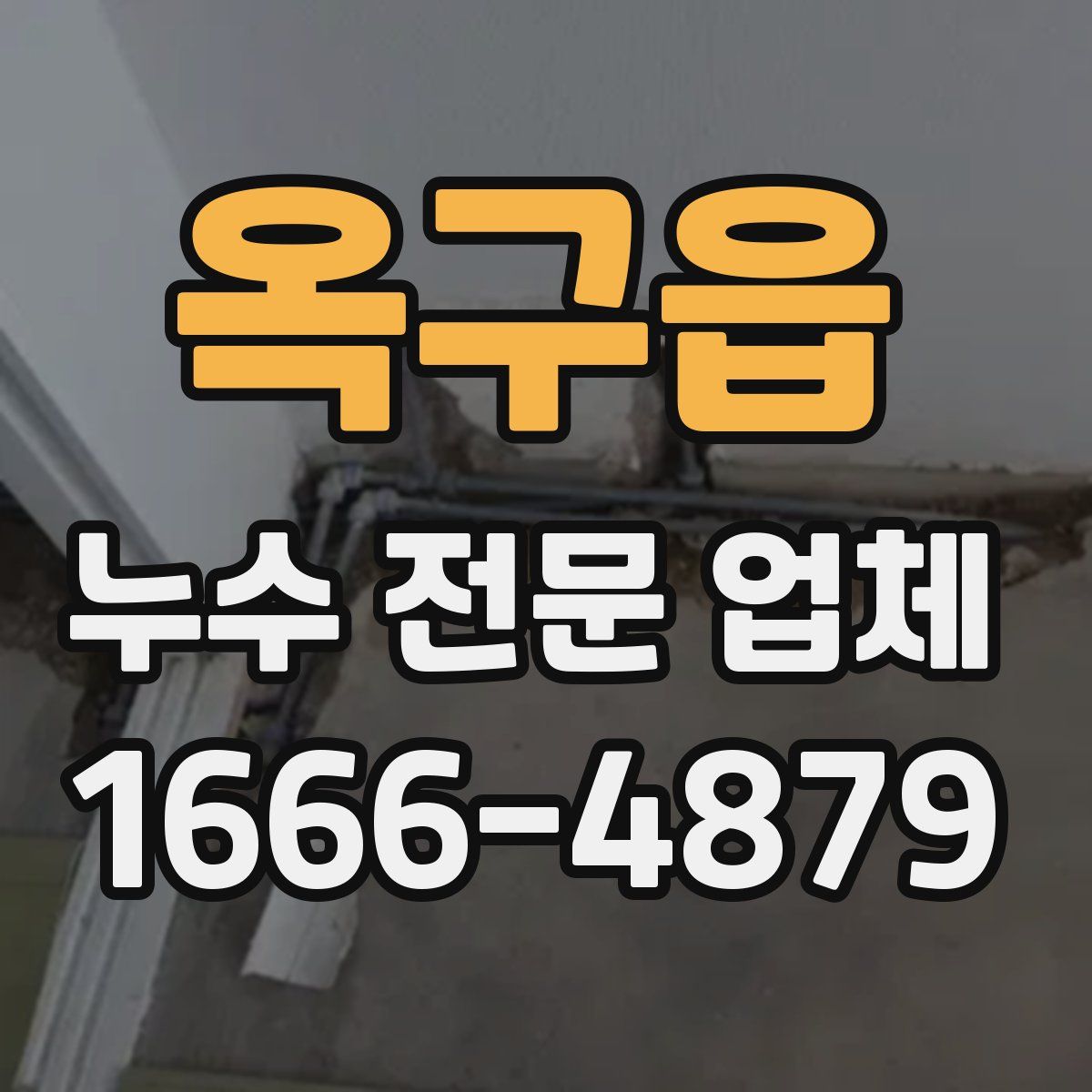 옥구읍 누수 전문 업체