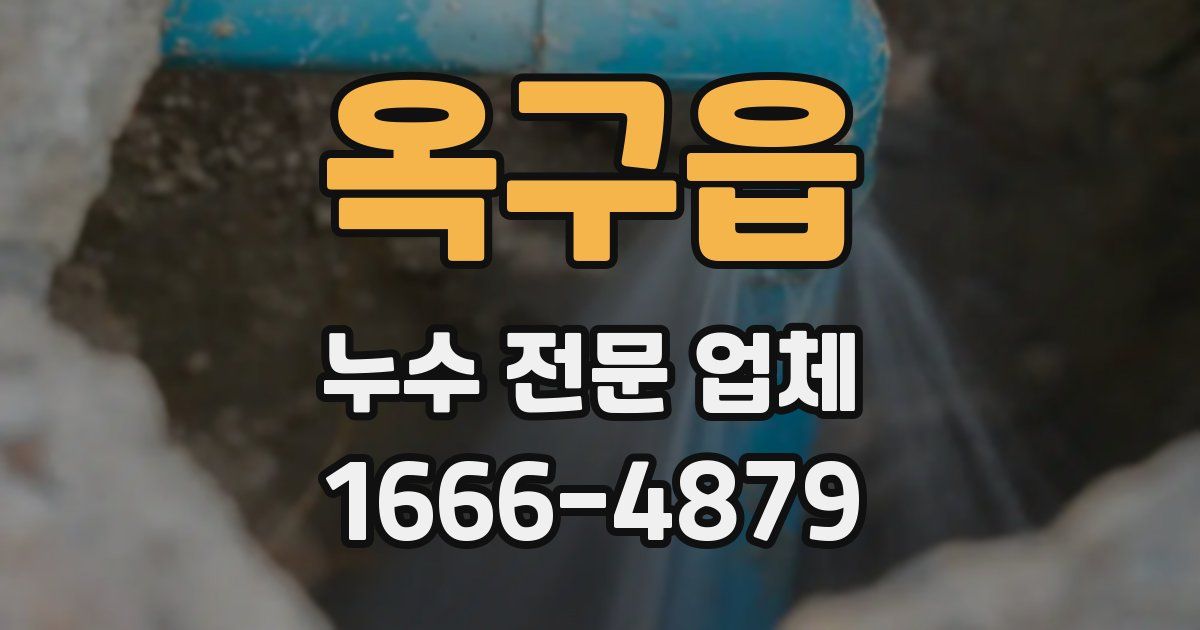 옥구읍 누수 전문 업체