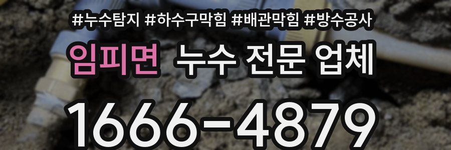 임피면 누수 전문 업체