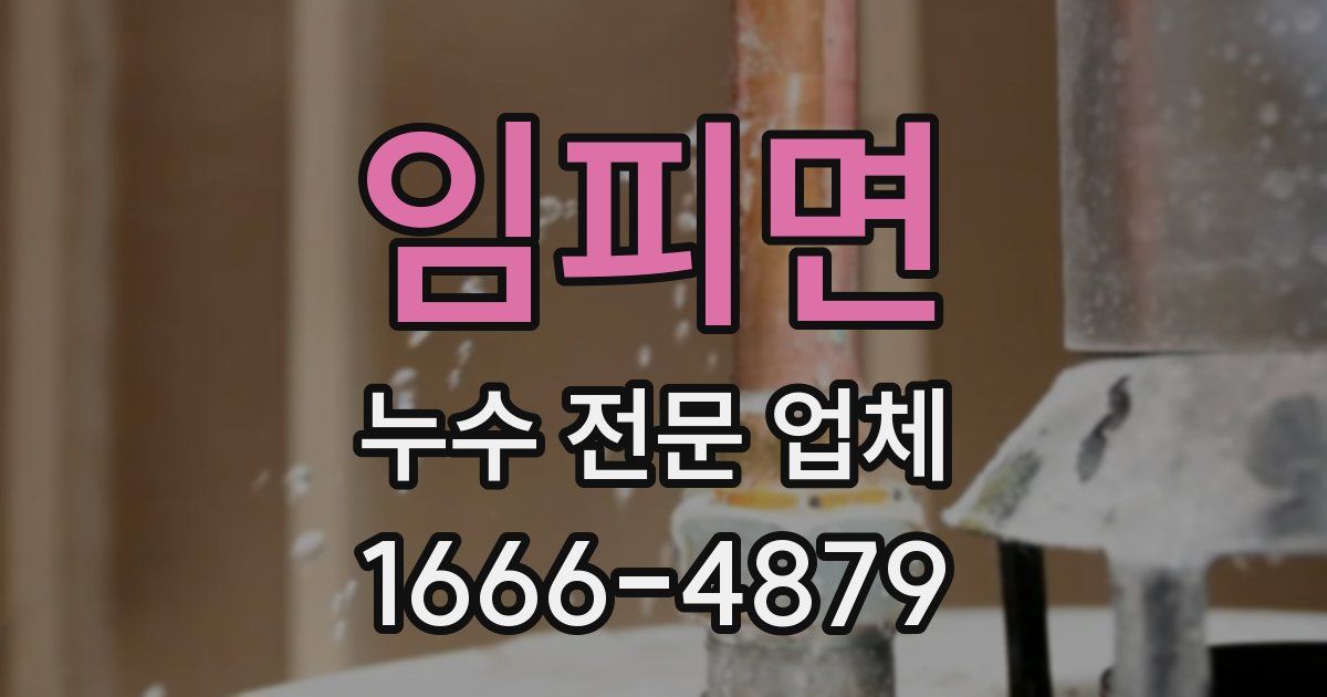 임피면 누수 전문 업체
