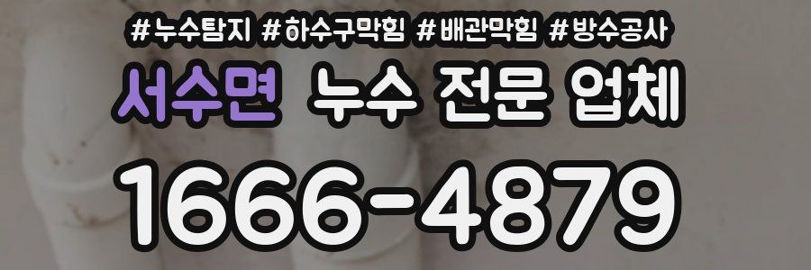 서수면 누수 전문 업체