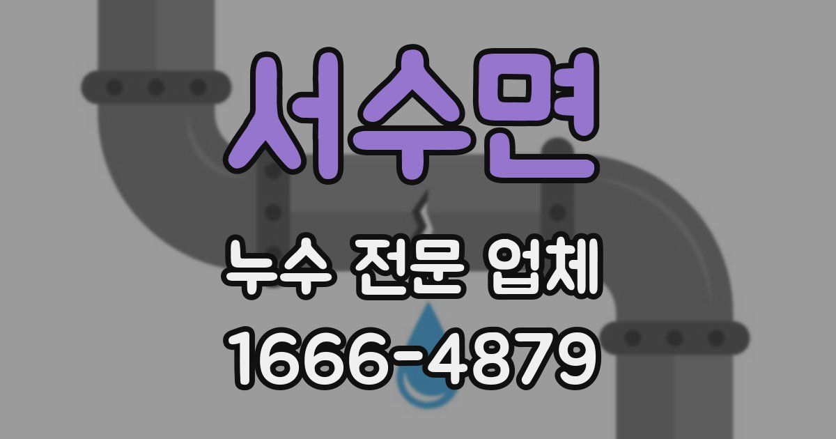 서수면 누수 전문 업체