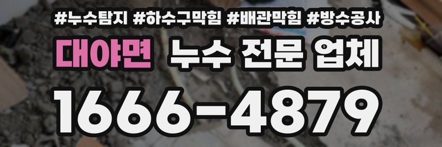대야면 누수 전문 업체
