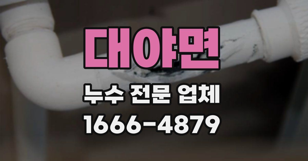 대야면 누수 전문 업체