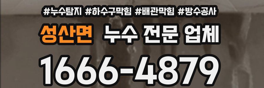 성산면 누수 전문 업체