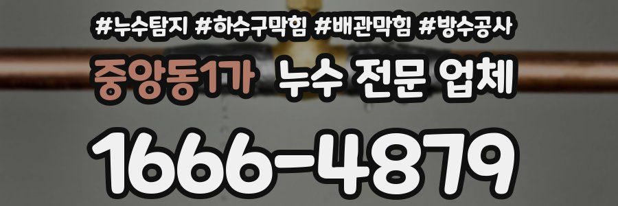 중앙동1가 누수 전문 업체
