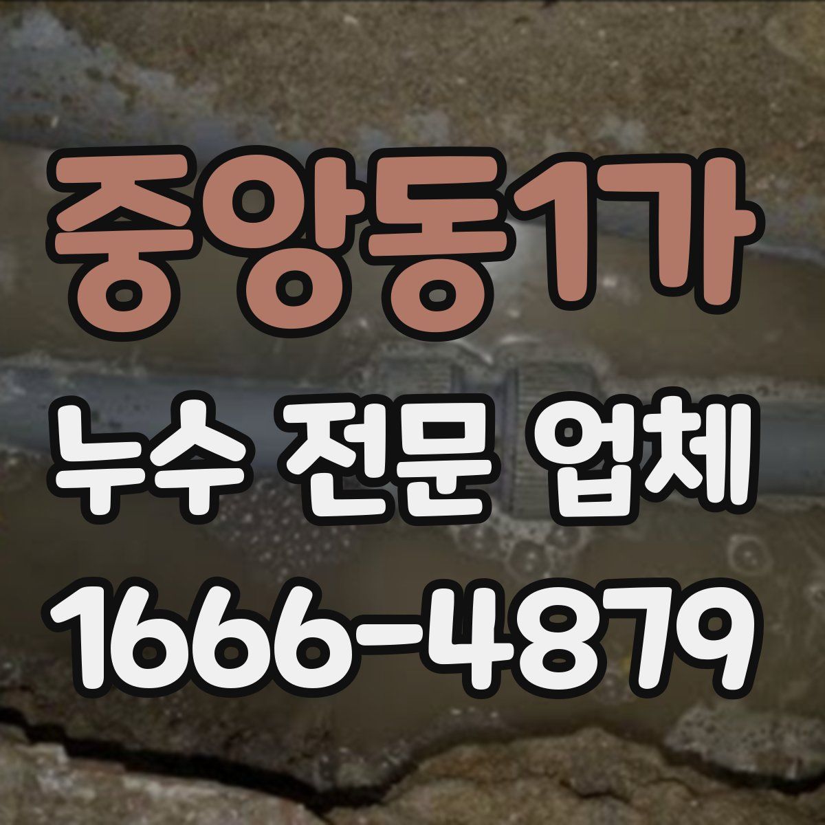 중앙동1가 누수 전문 업체