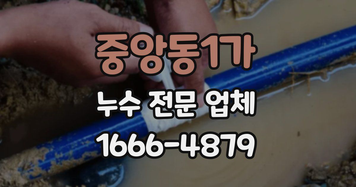 중앙동1가 누수 전문 업체
