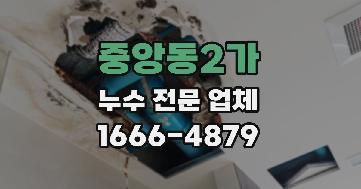 중앙동2가 누수 전문 업체