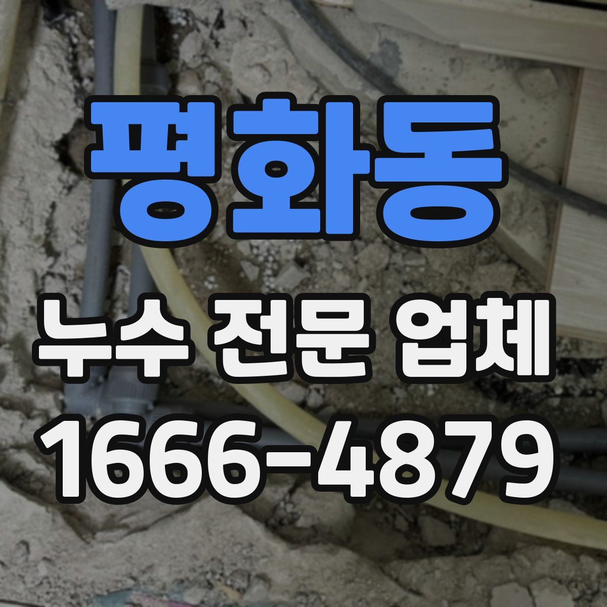 평화동 누수 전문 업체