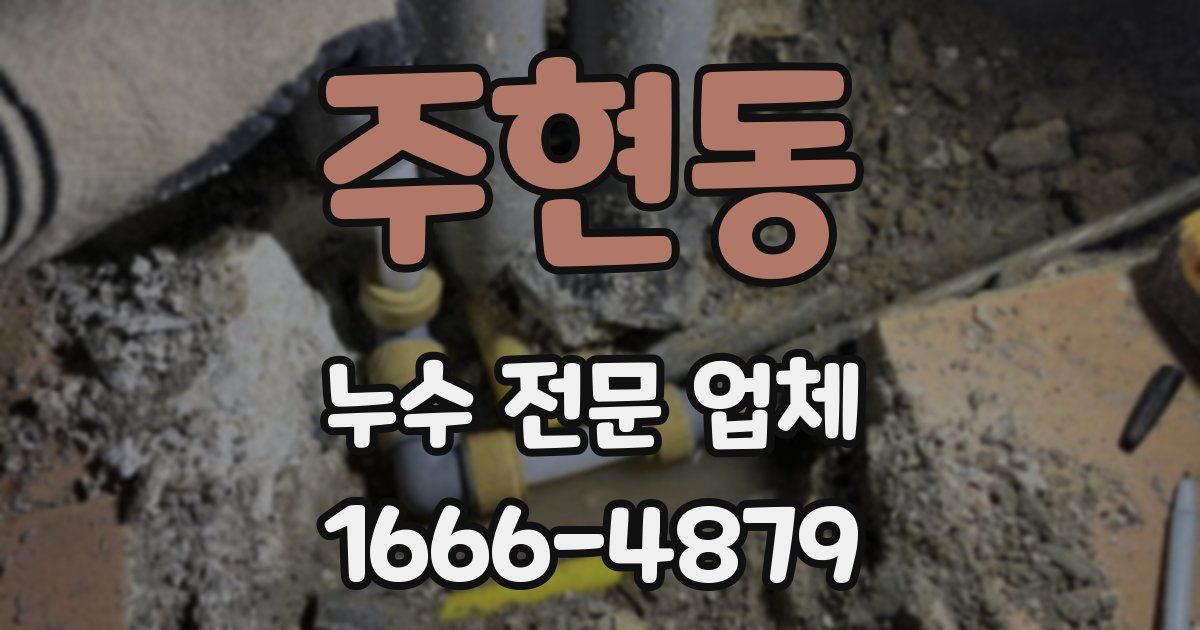 주현동 누수 전문 업체