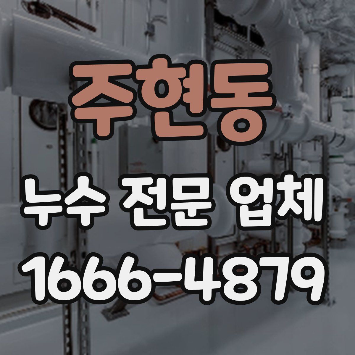 주현동 누수 전문 업체