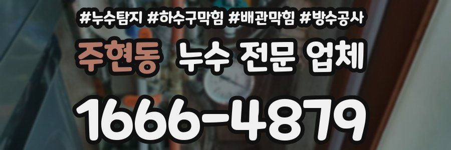 주현동 누수 전문 업체