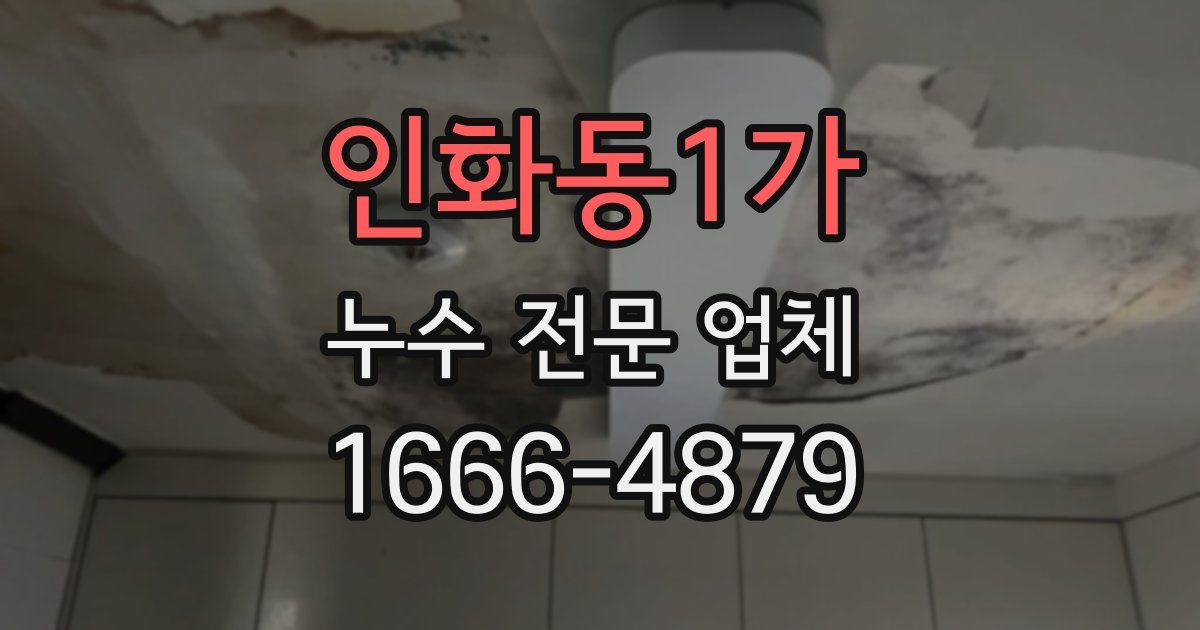 인화동1가 누수 전문 업체