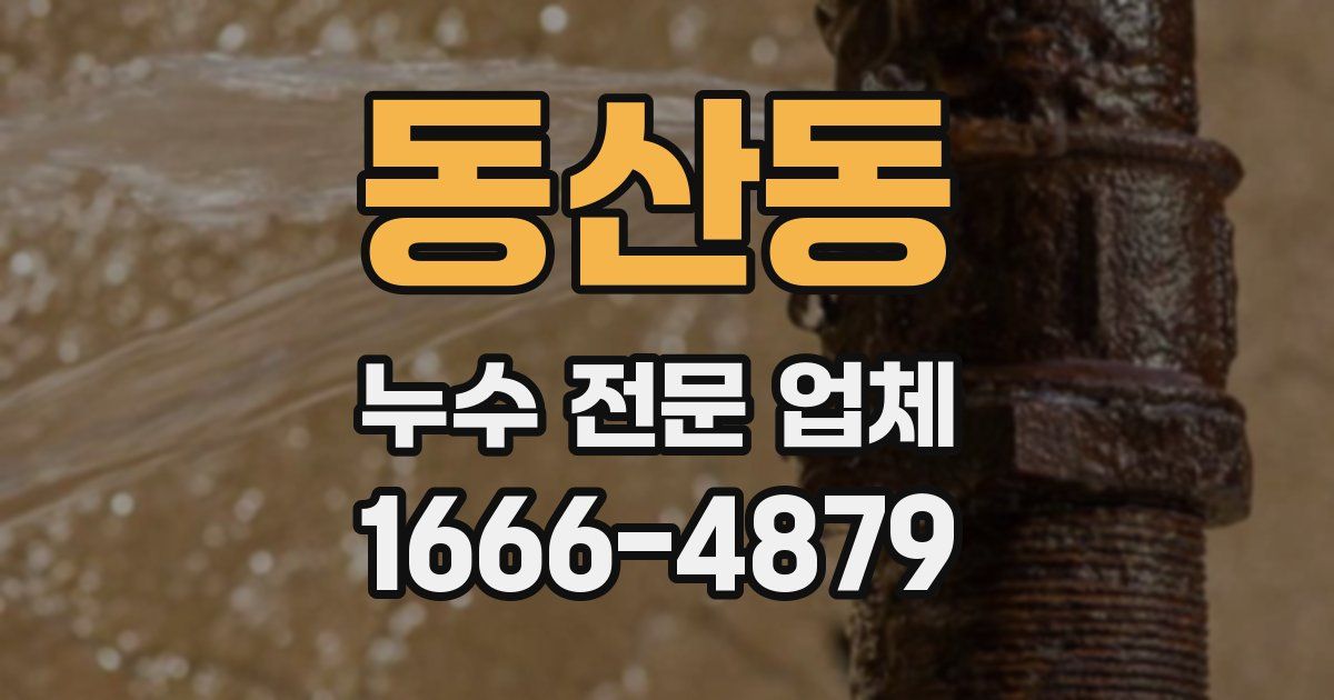 동산동 누수 전문 업체