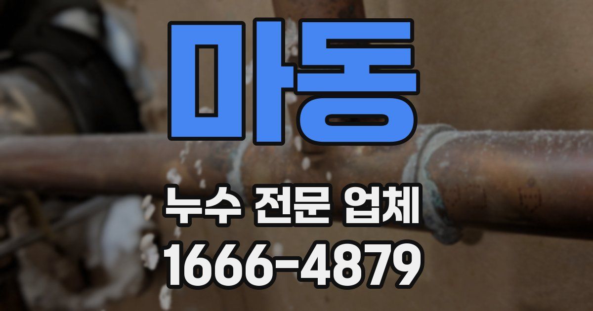 마동 누수 전문 업체