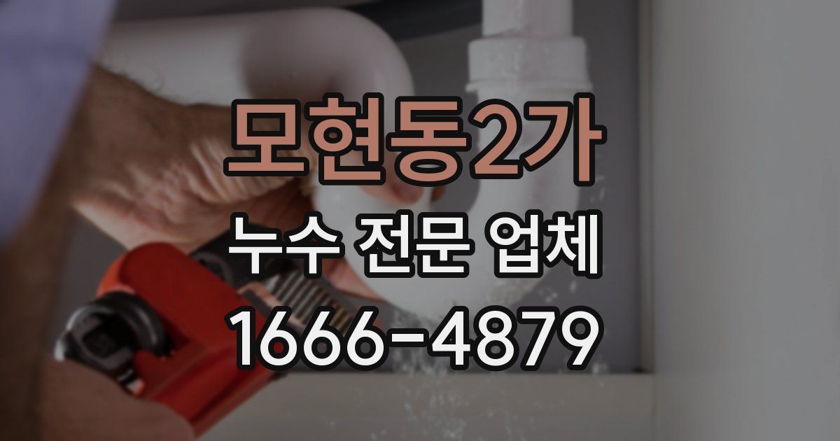 모현동2가 누수 전문 업체